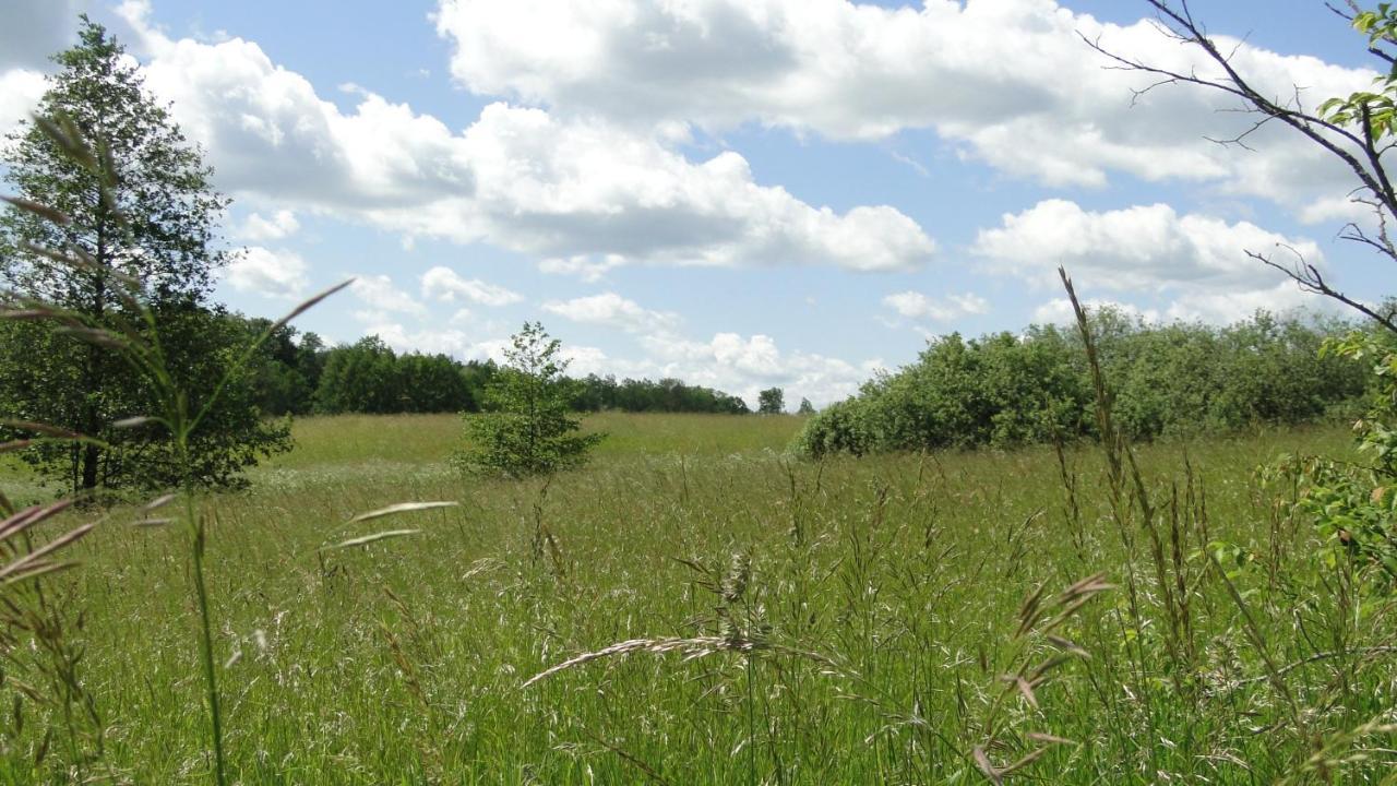 Agroturystyka Zywe Kruklanki Εξωτερικό φωτογραφία