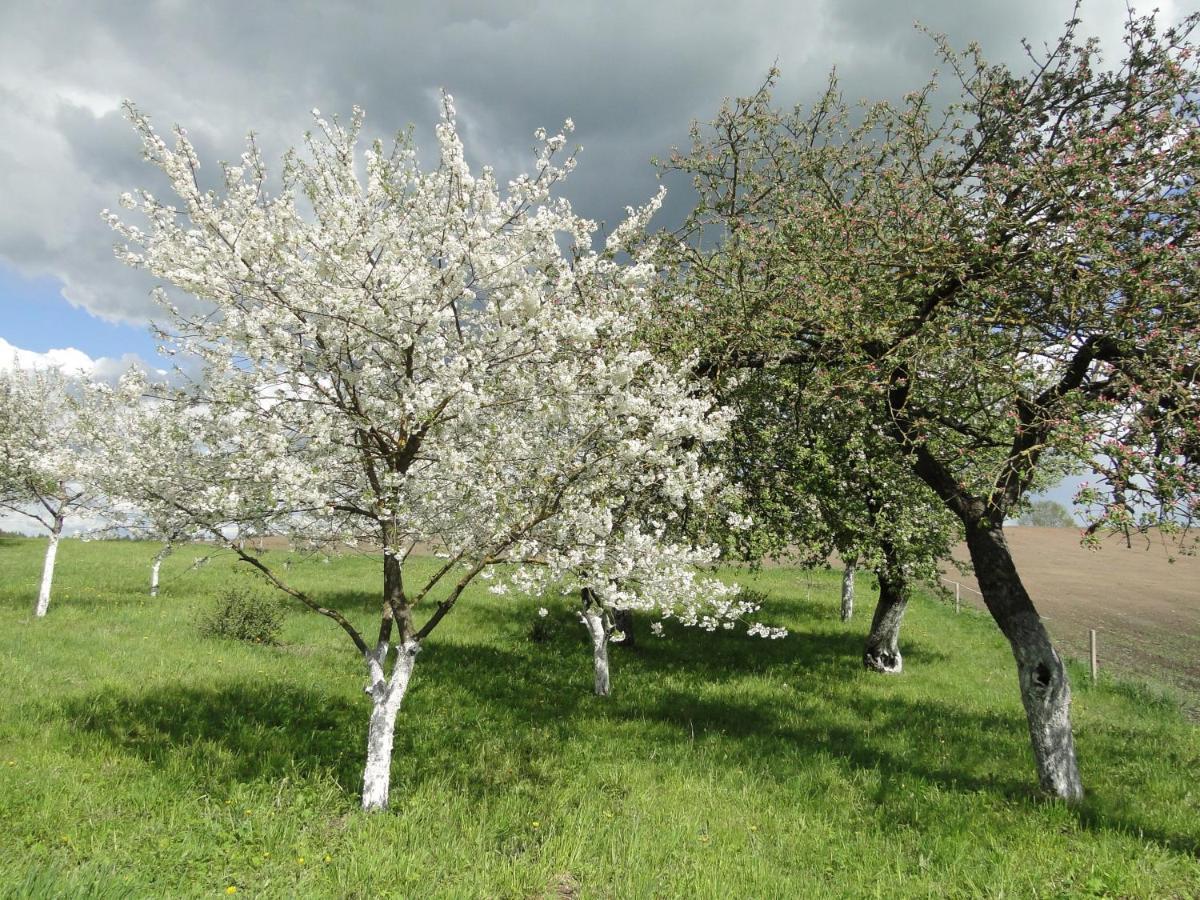 Agroturystyka Zywe Kruklanki Εξωτερικό φωτογραφία